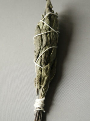 Smudge stick salie