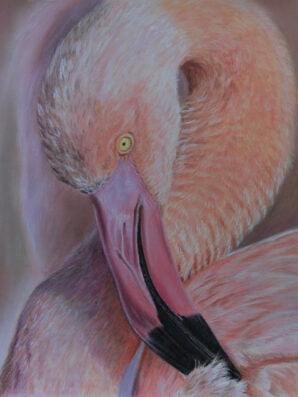 realistisch getekend portret van een flamingo