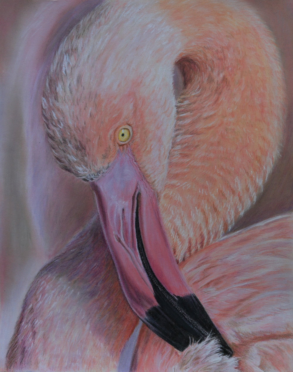 realistisch getekend portret van een flamingo