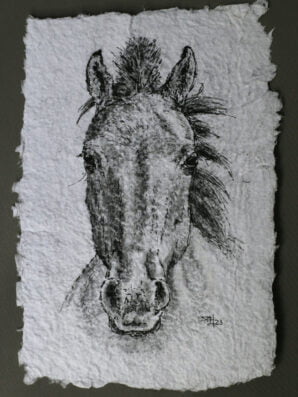Konikpaard tekening