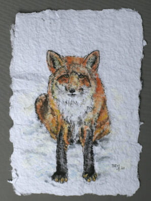 vos aquarel
