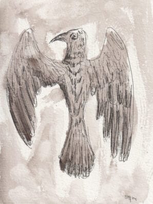 raaf tekening inktzwaminkt