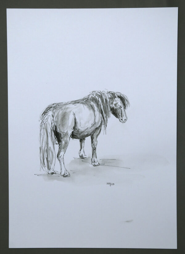 pony kunstwerk inkt en fineliner