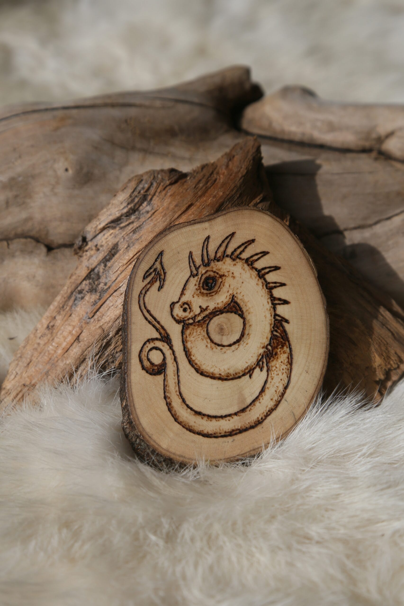 draak pyrografie op houtschijf
